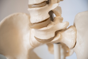 Becken und Wirbelsäule
